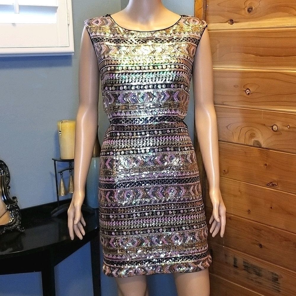 Forever 21 Exclusive Sequin Dress (size M)